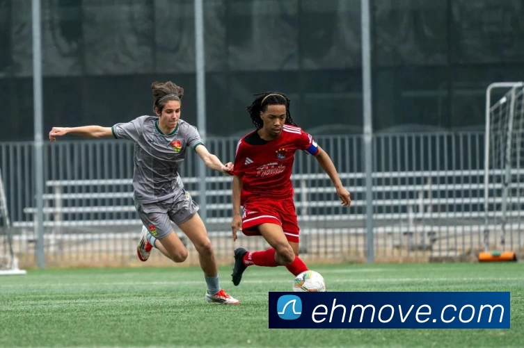 易换官网发展历程